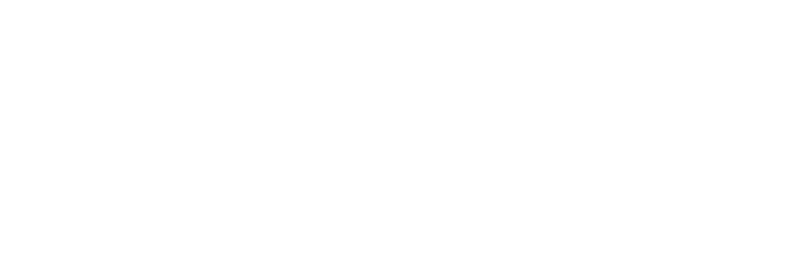 leasinGo - digital & schnell