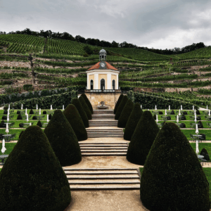 Sächsisches Staatsweingut