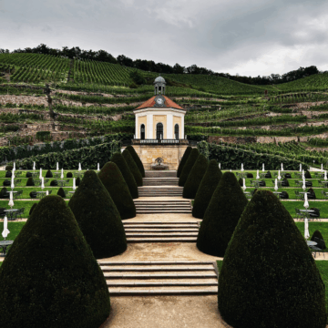 Sächsisches Staatsweingut